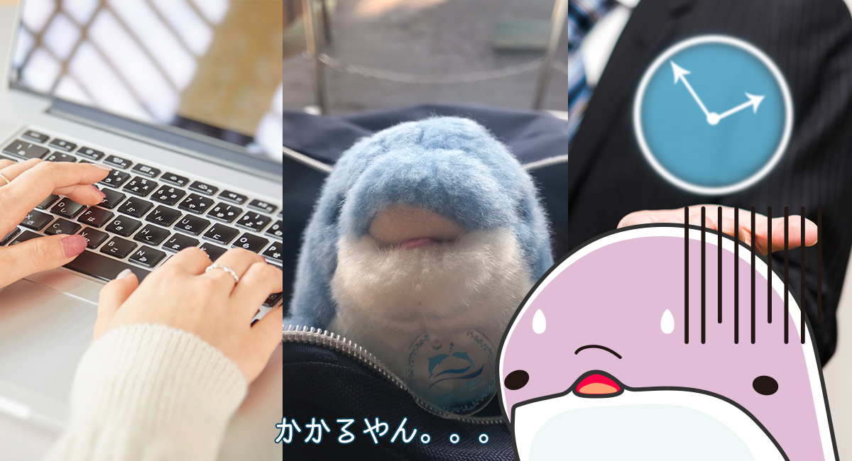 お金めっちゃかかるやん。。。