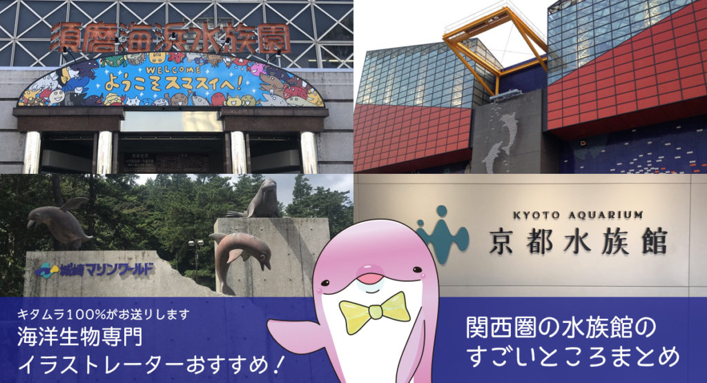 関西圏の水族館について、大阪在住Webデザイナー兼海洋生物専門イラストレーターの私が特徴や見どころをまとめました