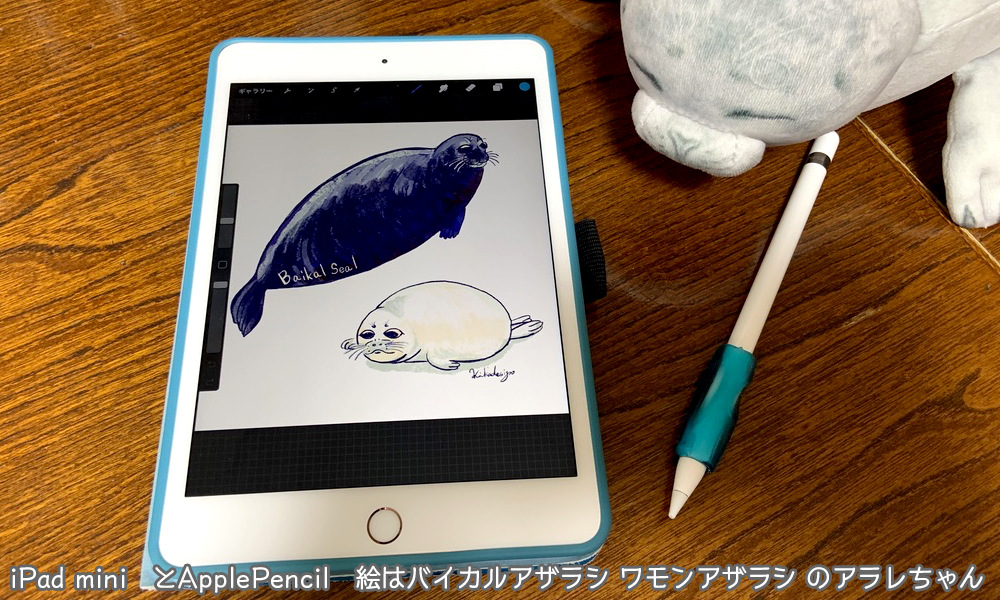 iPad miniとApple Pencil　バイカルアザラシとワモンアザラシのアラレ